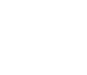 Logo di Timenet SpA nostro partner per la connessione internet in fibra ottica e telefonia VoIP - ICT - InfoCommTech